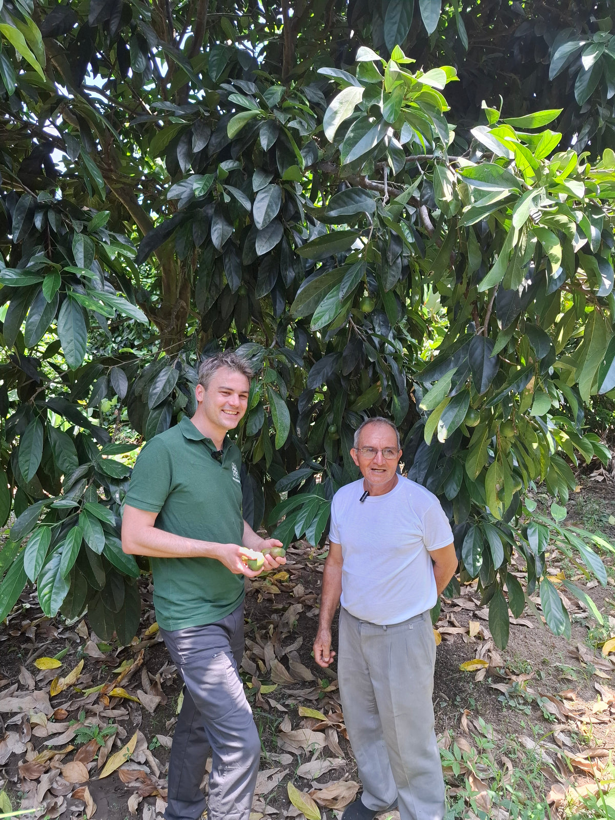 Primegreen General manager and a cacay nuts producer standing under a large tree of cacay.