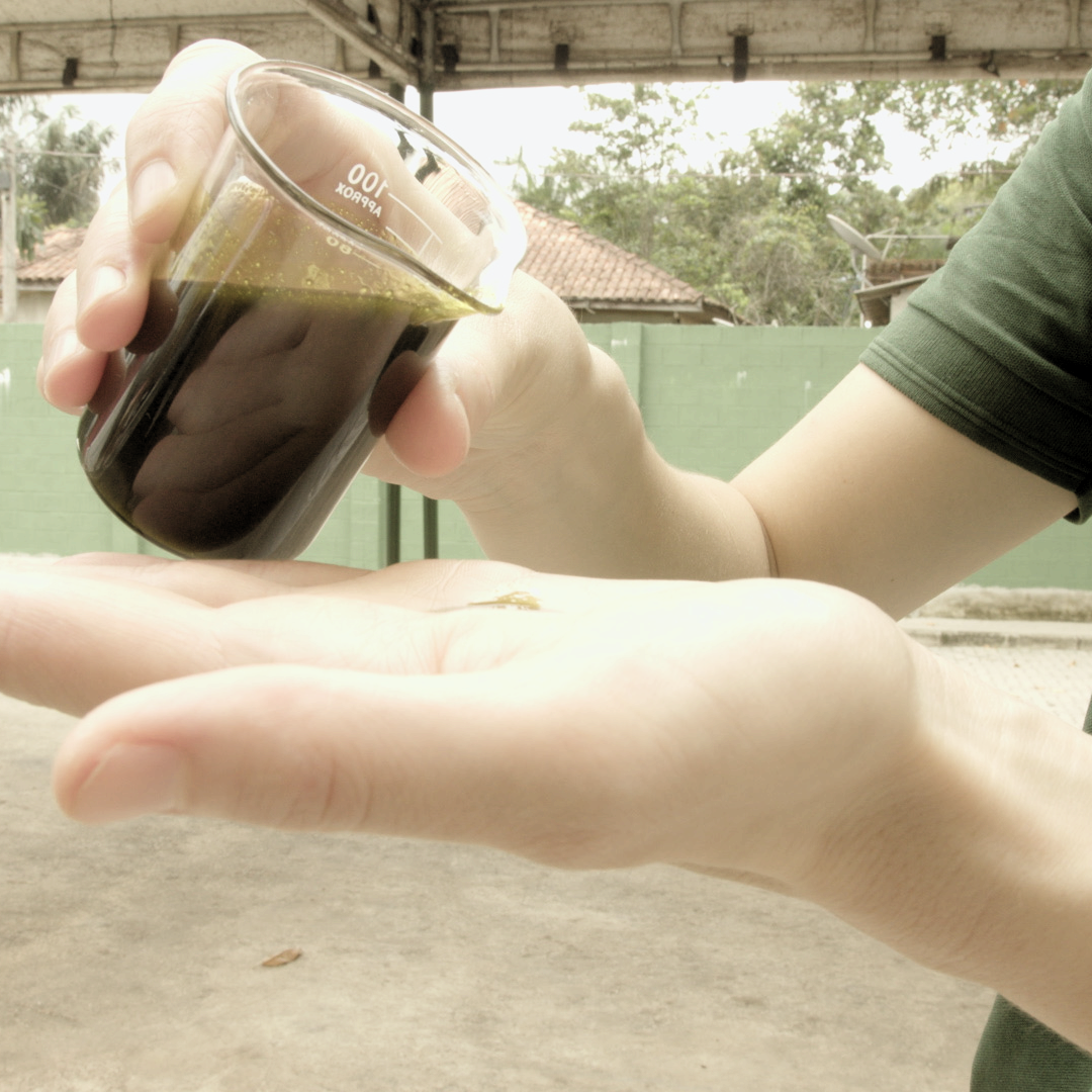 Person holding a container of dark liquid over an open palm outdoors- Prime Green Trade
