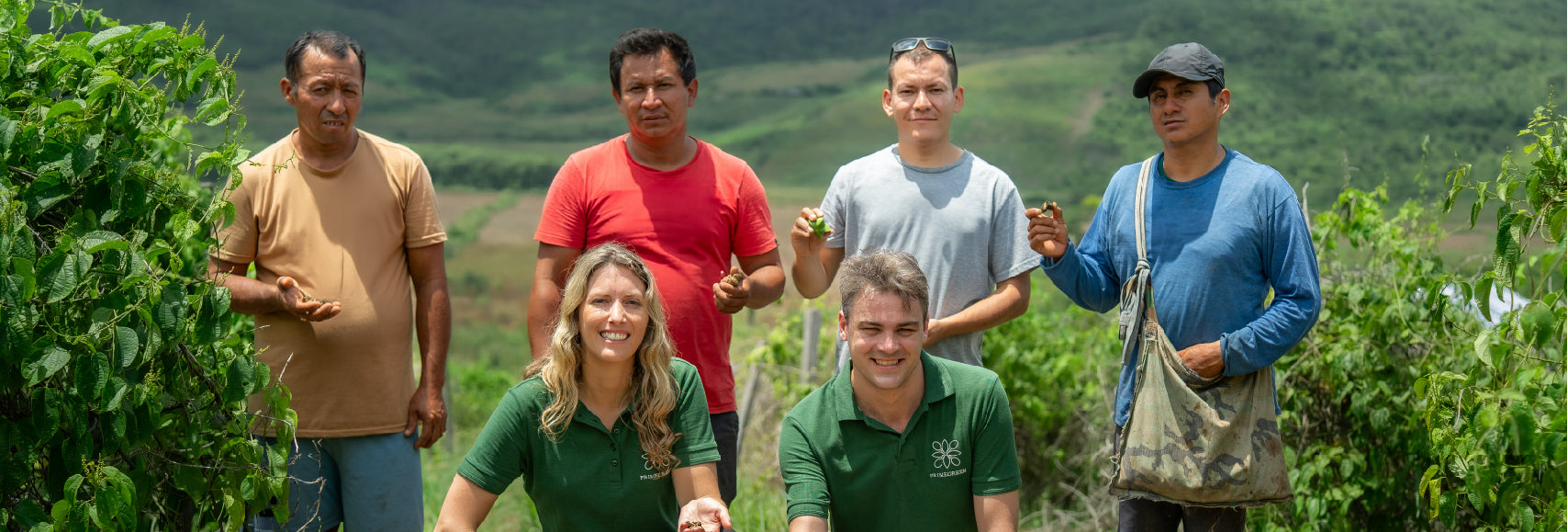 Primegreen team and growing partners at Sacha Inchi plantation