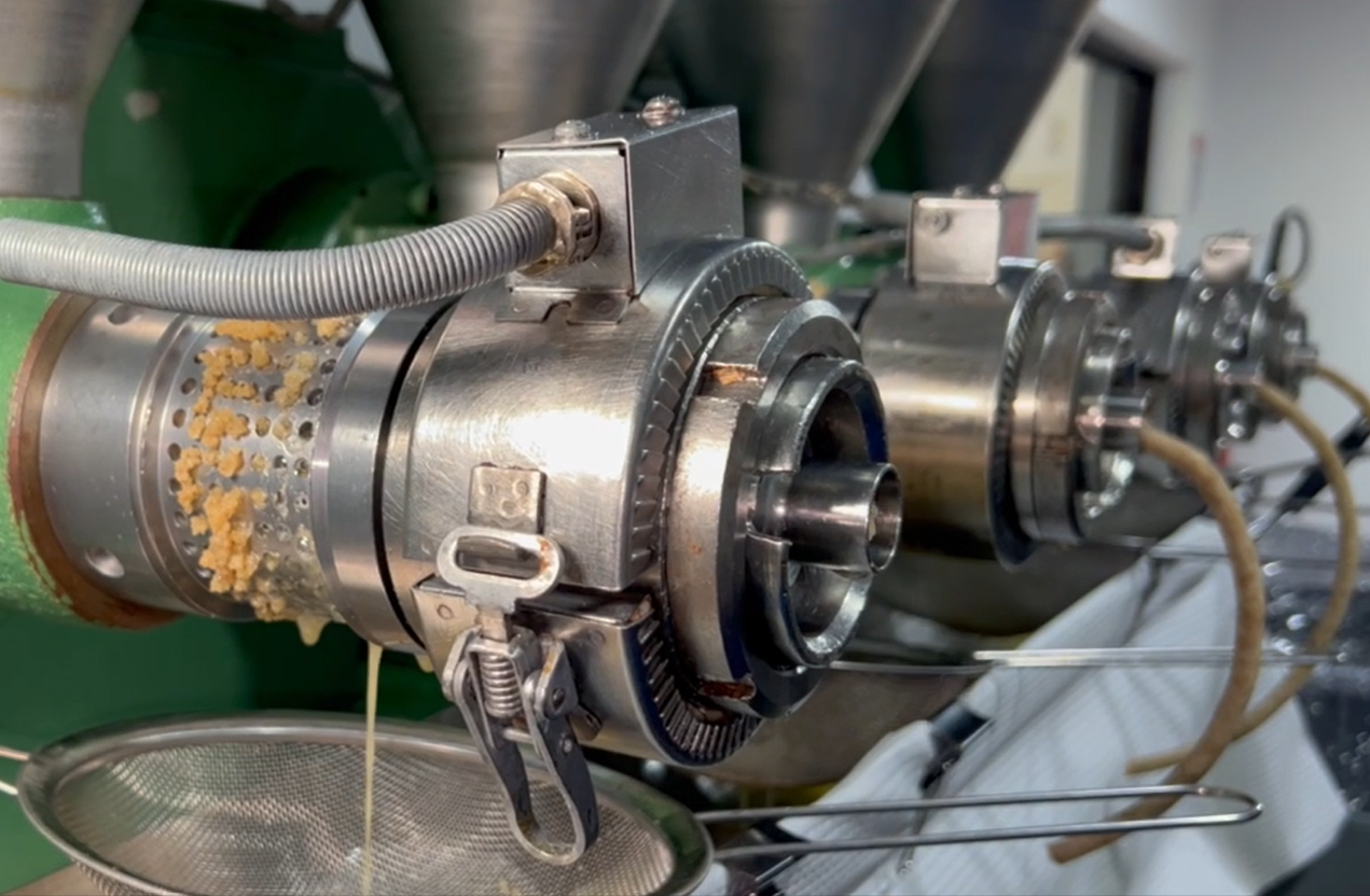 Cold pressing Cacay oil