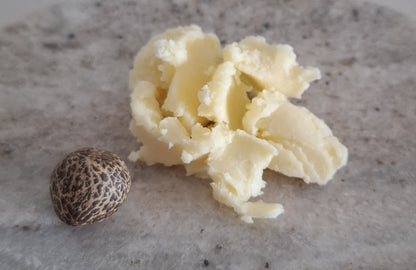 Cupuacu butter with seed