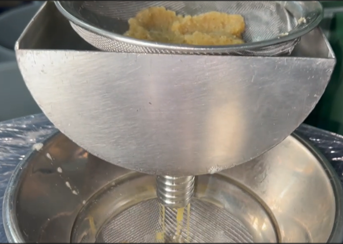 Filtering cold pressed Cacay oil
