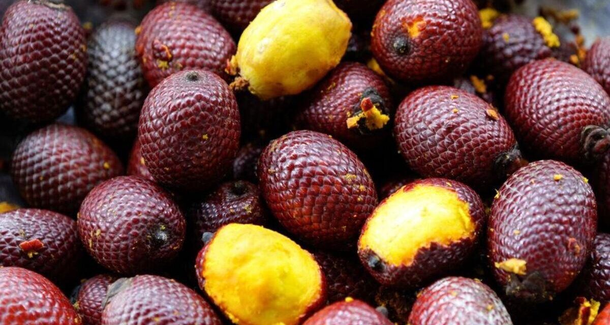 Buriti oil Primegreen for natural skin and hair care formulations